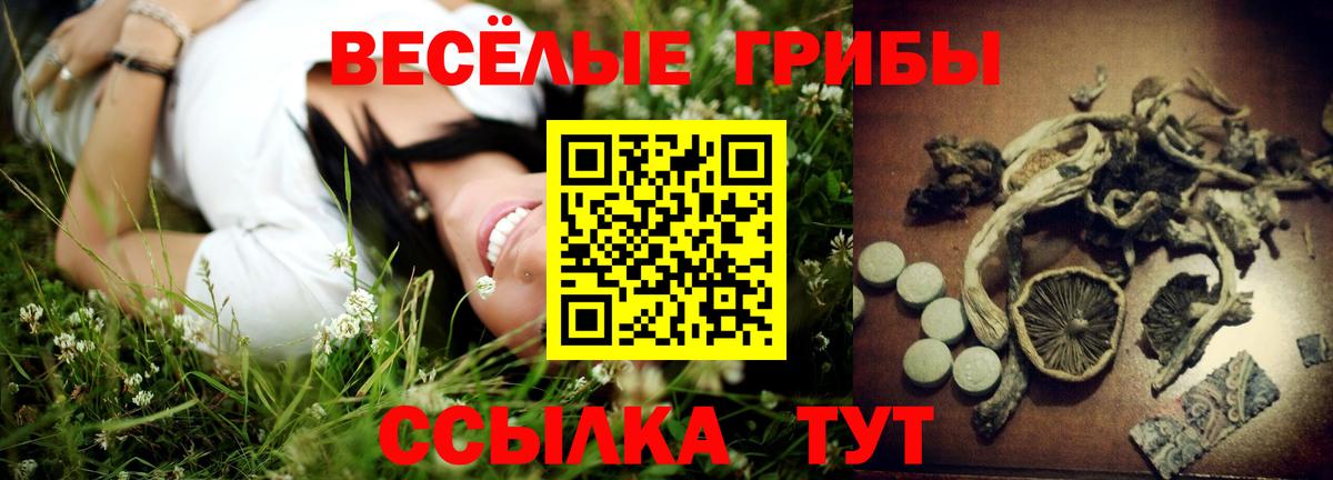 Псилоцибиновые грибы Psilocybe Ростов-на-Дону